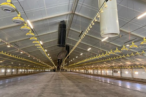 supafil loft realizace